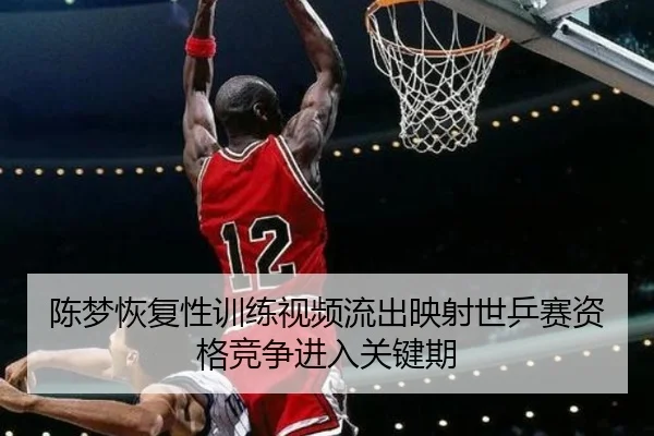 陈梦恢复性训练视频流出映射世乒赛资格竞争进入关键期